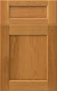 Medallion Dana Pointe Reverse Raised Panel Gold cabinet door, reverse raised panel