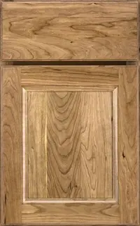 Medallion Ellison Reverse Raised Panel Gold cabinet door, reverse raised panel