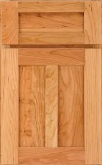 Medallion Hudson Falls Reverse Raised Panel Gold cabinet door, reverse raised panel