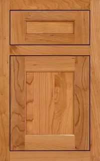Medallion Park Place Platinum cabinet door, reverse raised panel