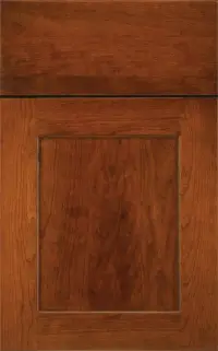 Medallion Park Place Reverse Raised Panel Frameless cabinet door, reverse raised panel