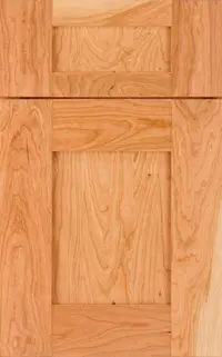 Medallion Sonoma Reverse Raised Panel Gold cabinet door, reverse raised panel