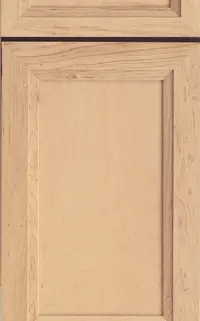 QualityCabinets Stein cabinet door, recessed panel
